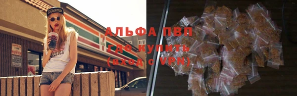 крисы Алексин