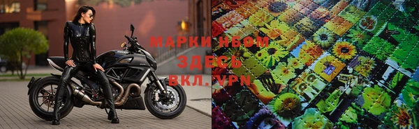 крисы Алексин