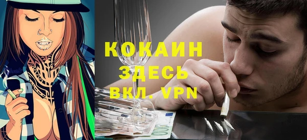 крисы Алексин